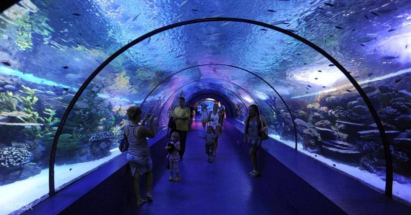 Antalya Aquarium places to visit in Antalya