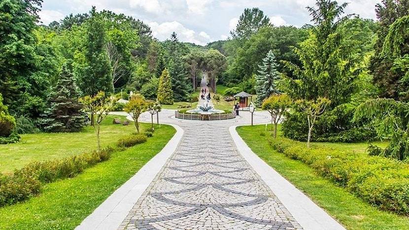 Atatürk Arboretum A Sight Where Nature Prevails (2