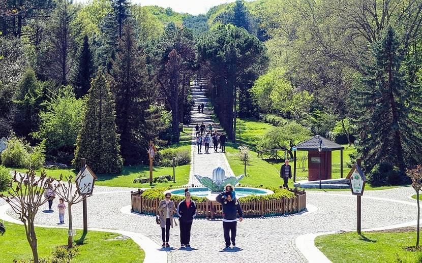 Atatürk Arboretum A Sight Where Nature Prevails