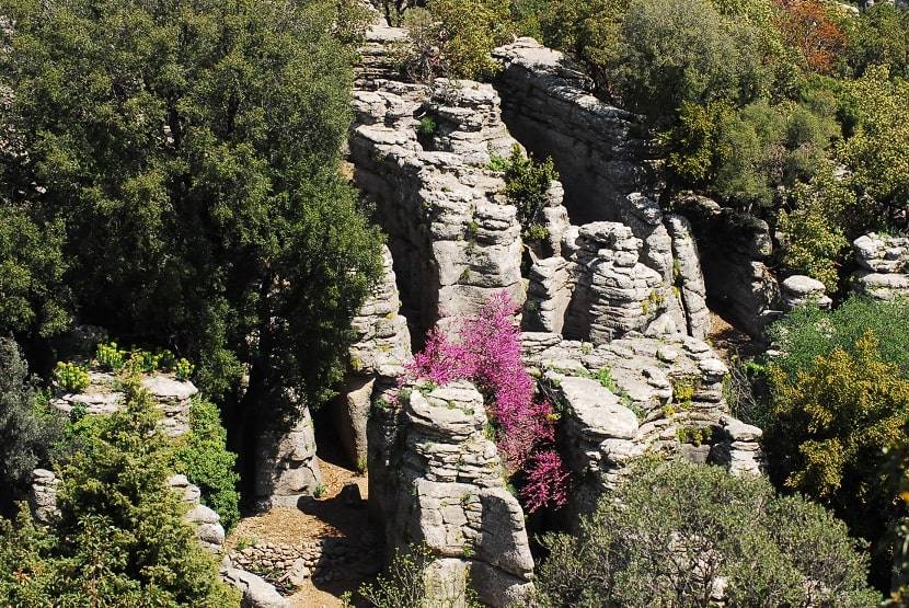 Termessos National Park.