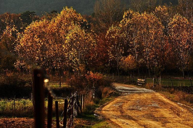 Abant Best Places in Turkey to Enjoy Autumn