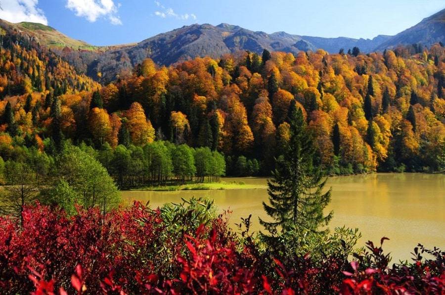 Artvin putting Autumn attracts Tourists Worldwide