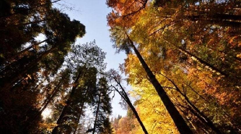 Karabuk Displaying the Colors of Autumn