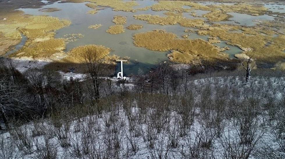 Efteni Lake Bird Sanctuary Wears White Dress