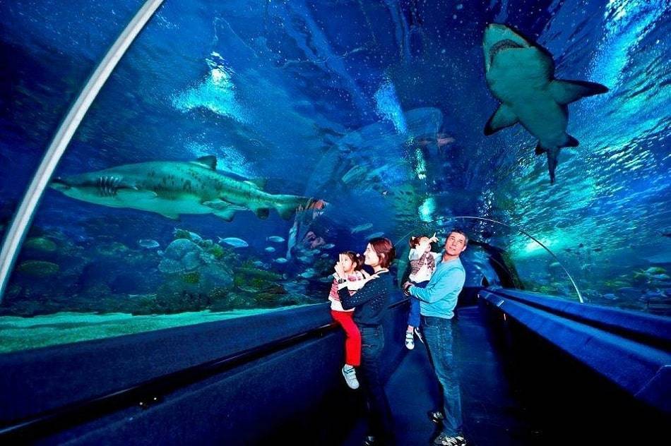 ViaSea Aquarium Istanbul