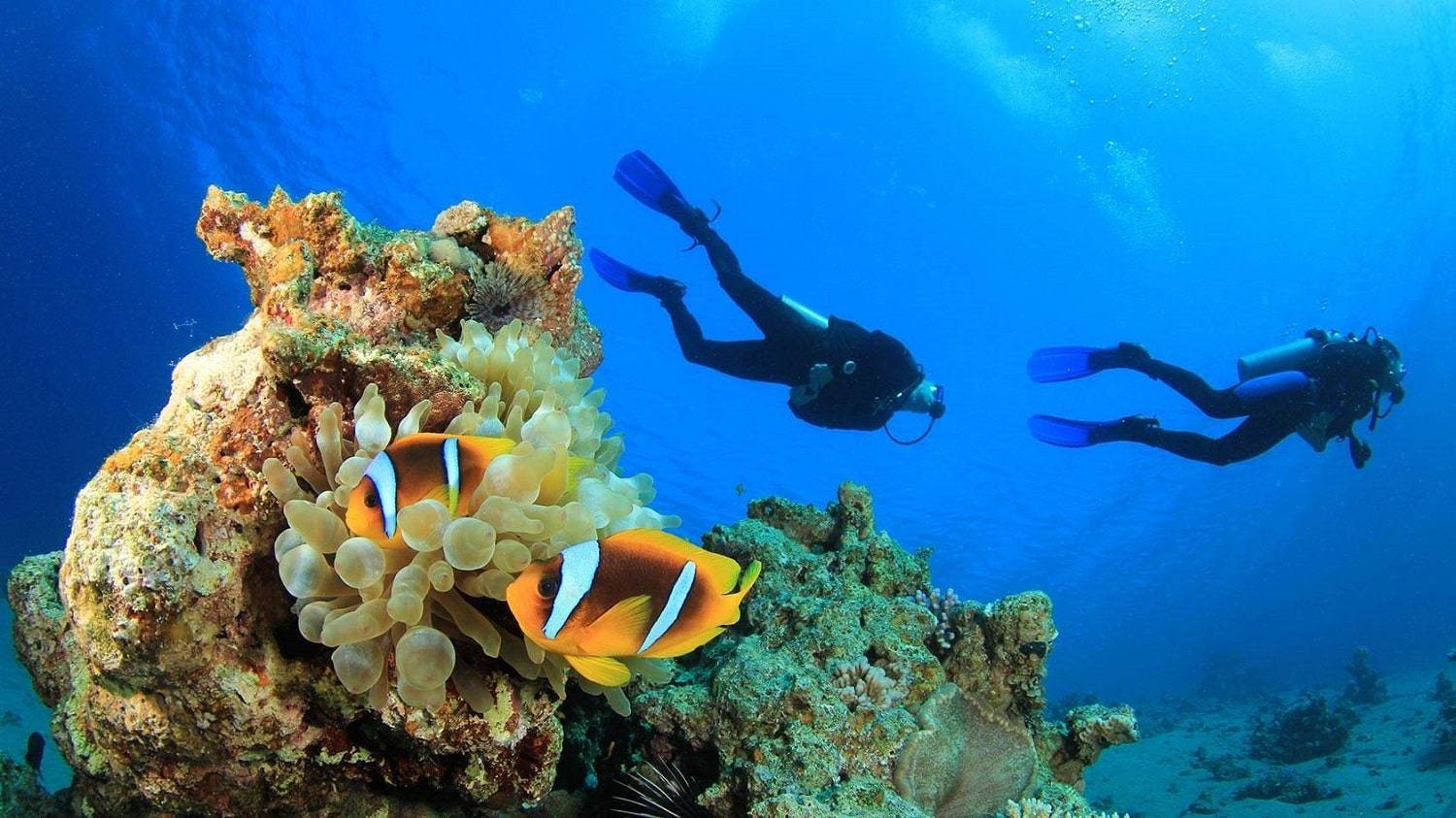 scuba diving in Mersin