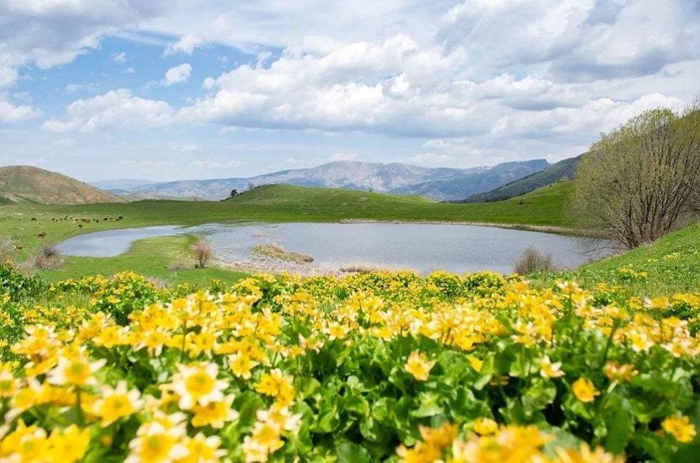 The eye-catching scenery of Erzurum attracts tourists'