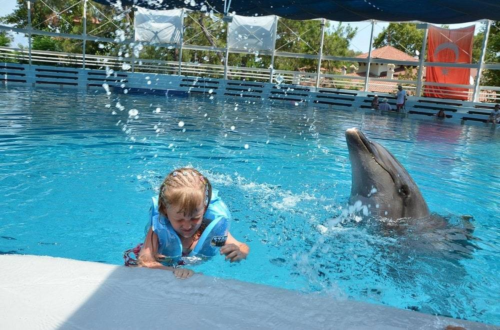 Kemer Dolphin Park water parks in Antalya