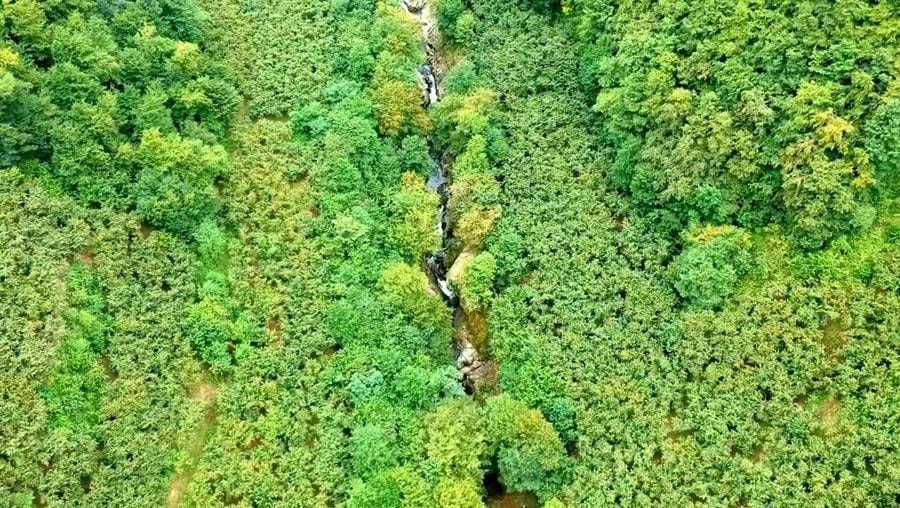 Guinness Contender Camas Canyon, Turkey's Longest Stream Canyon