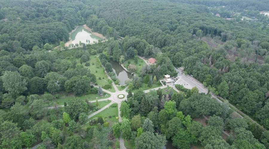 Activities in Belgrad Forest Tips for Exploring Belgrad Forest