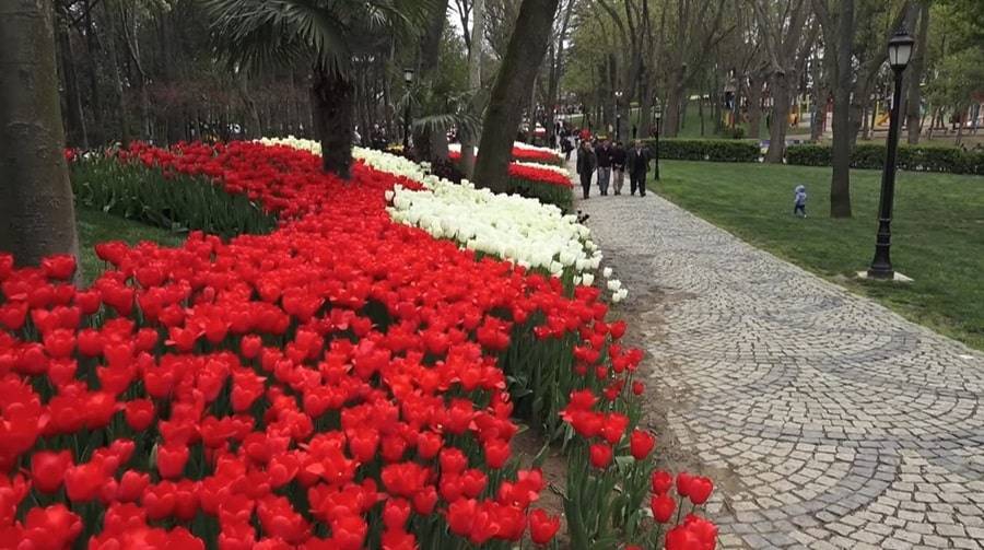 Emirgan Park Istanbul