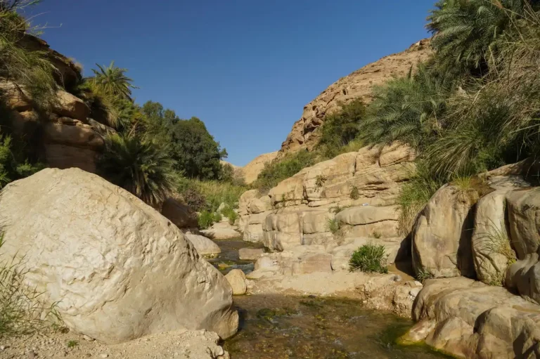 5 Day King’s Highway Tour: Kerak, Petra & Wadi Rum