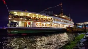Bosphorus Dinner Cruise 1s