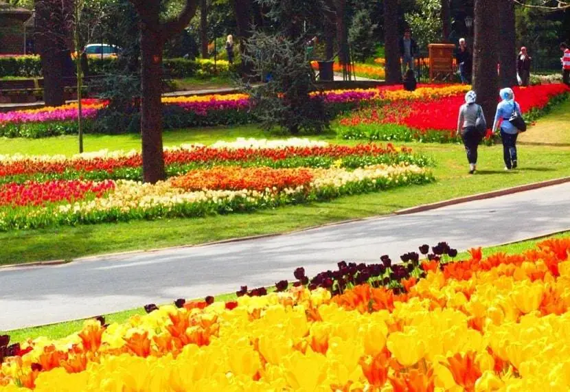 Emirgan Park Istanbul Tulip Festival