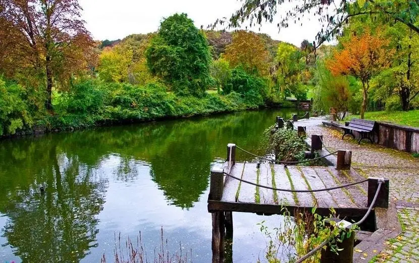 Atatürk Arboretum A Sight Where Nature Prevails (3)