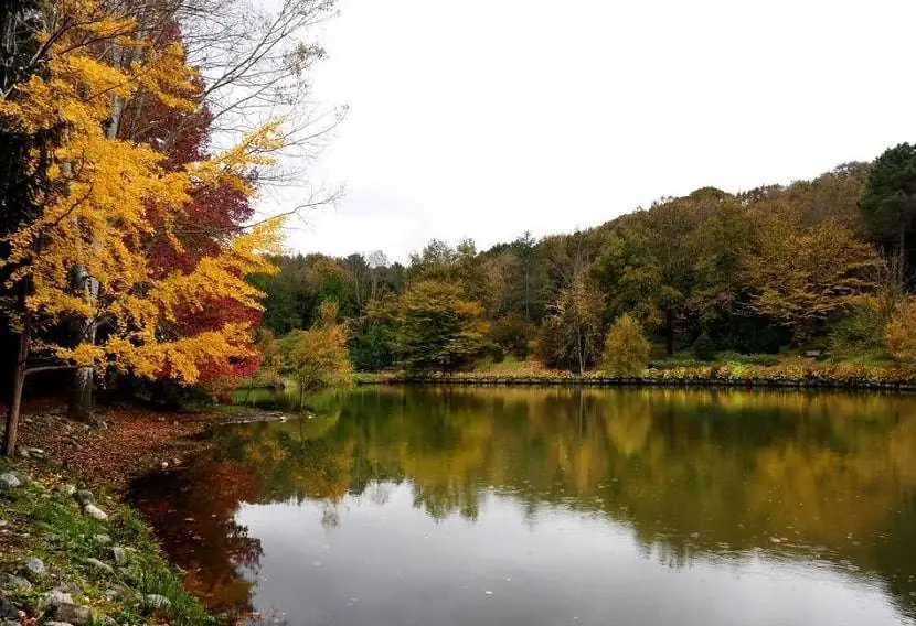 Atatürk Arboretum Istanbul