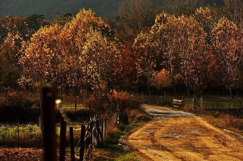 Abant Best Places in Turkey to Enjoy Autumn