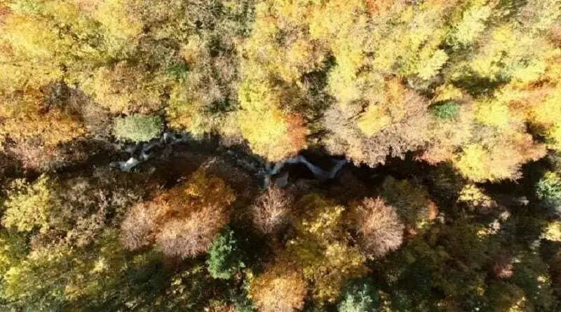 Star Mountains depict an amazing autumn image-min