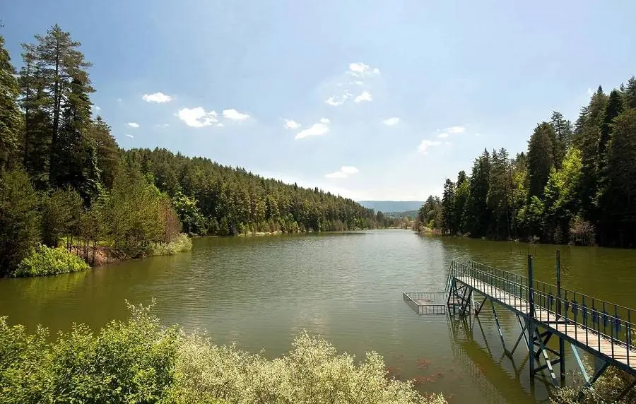 Bozcaarmut Pond