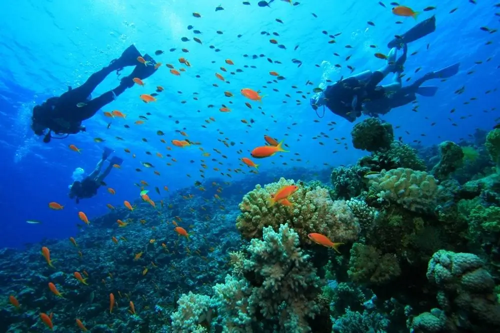 scuba diving in Bodrum turkey