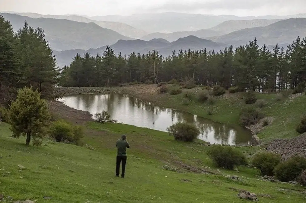 Erzurum turkey