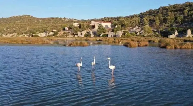 Santa Claus Bird Paradise is Worth-watching