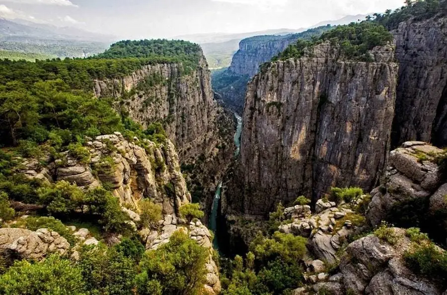 Eagles Canyon turkey