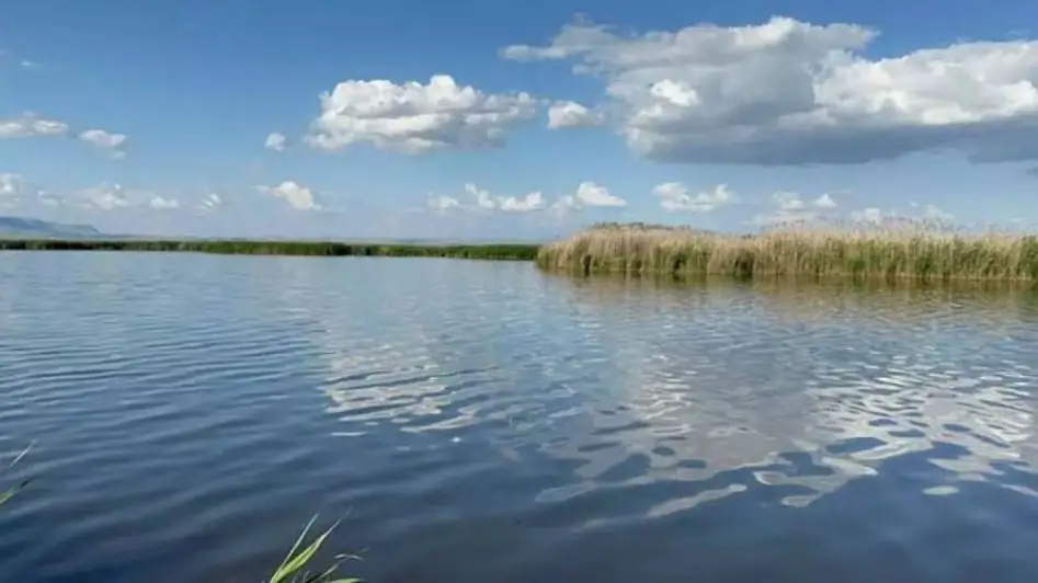 A Symphony of Nature Islets on Lake Eber