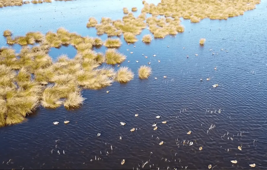 Kizilirmak Delta Bird Paradise Samsun's Hidden Avian Treasure