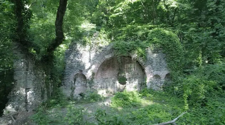 Cultural Significance of Belgrad Forest