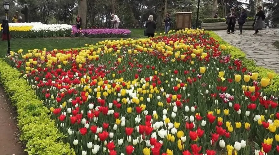 Emirgan Park Istanbul A Guide to Flowers & Historical Sites