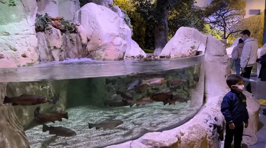 How to Get to Istanbul Aquarium