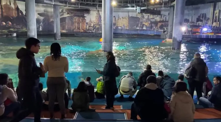 Istanbul Aquarium Virtual Tour-min