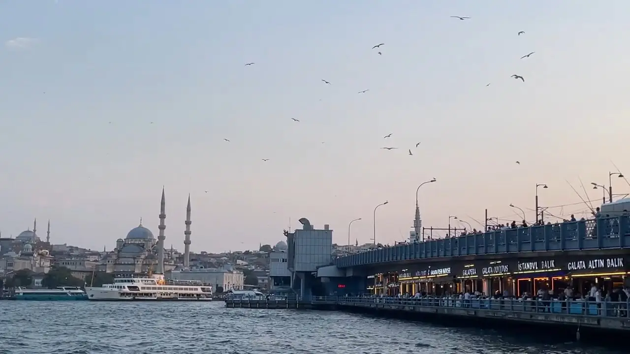 Best Experience in Istanbul _ Bosphorus Dinner Cruise