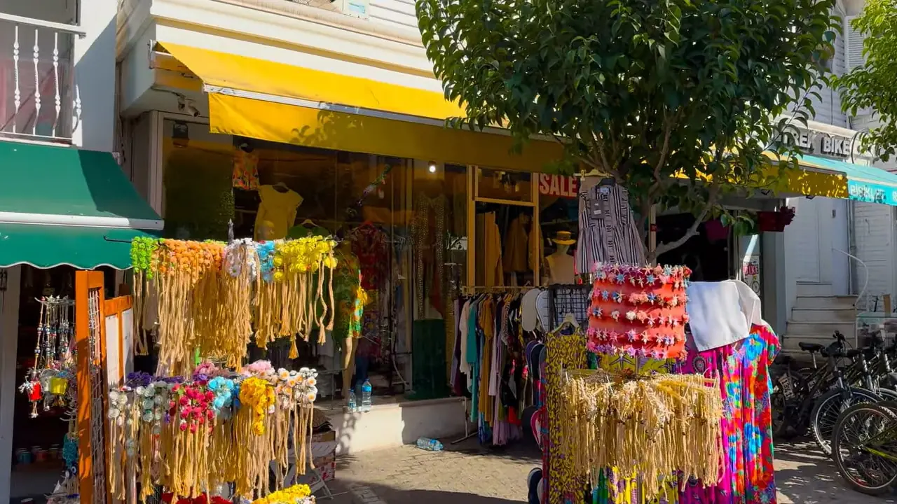Istanbul's Island Walking Tour, Princes Islands (2)