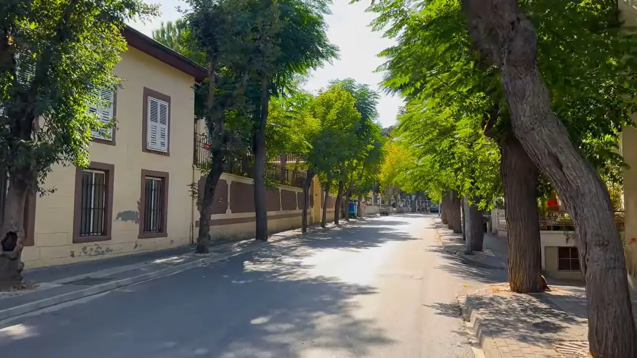 Istanbul's Island Walking Tour, Princes Islands (2)