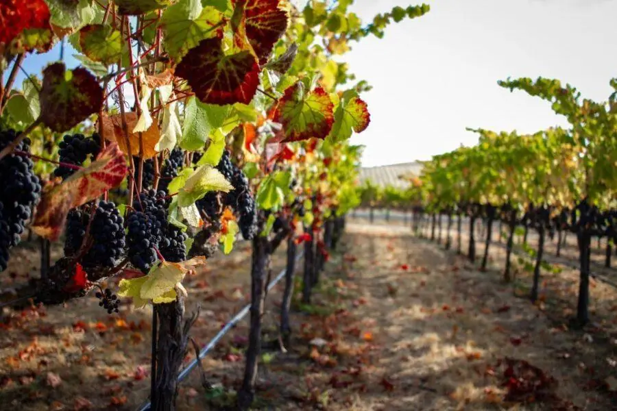 14 Day Luxury Turkey Tour | Art, Gastronomy & Heritage