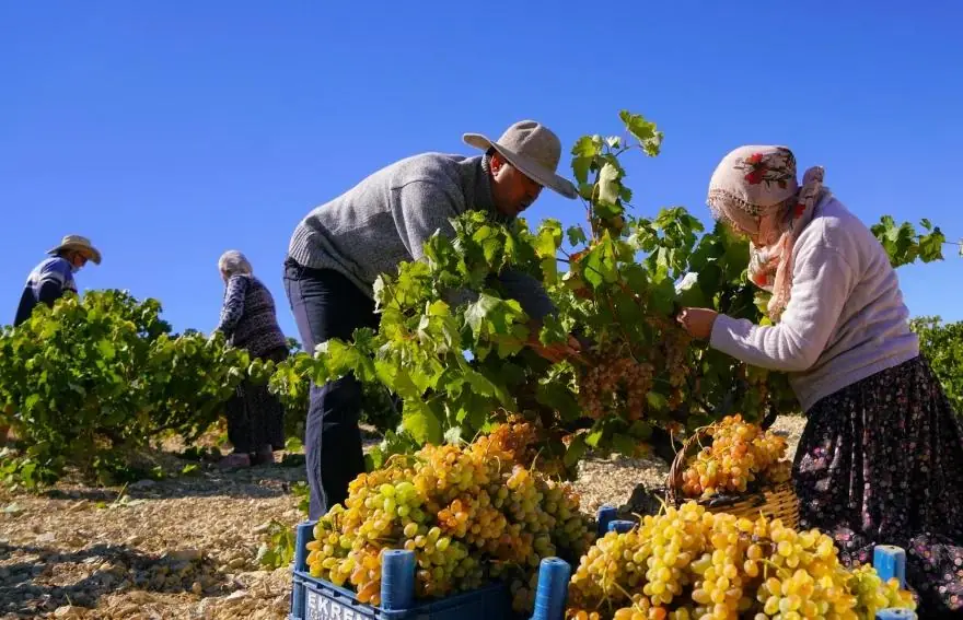 14 Day Luxury Turkey Tour | Art, Gastronomy & Heritage